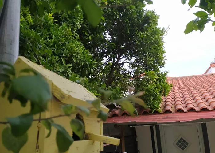 Klio\'S House