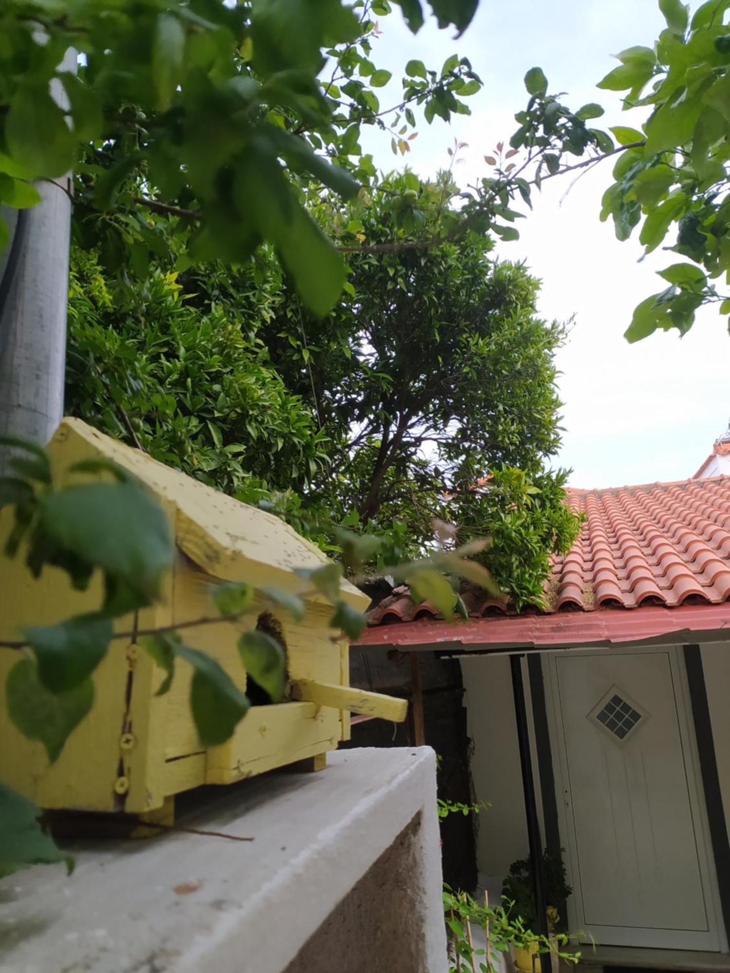 Klio's House * Samos Town