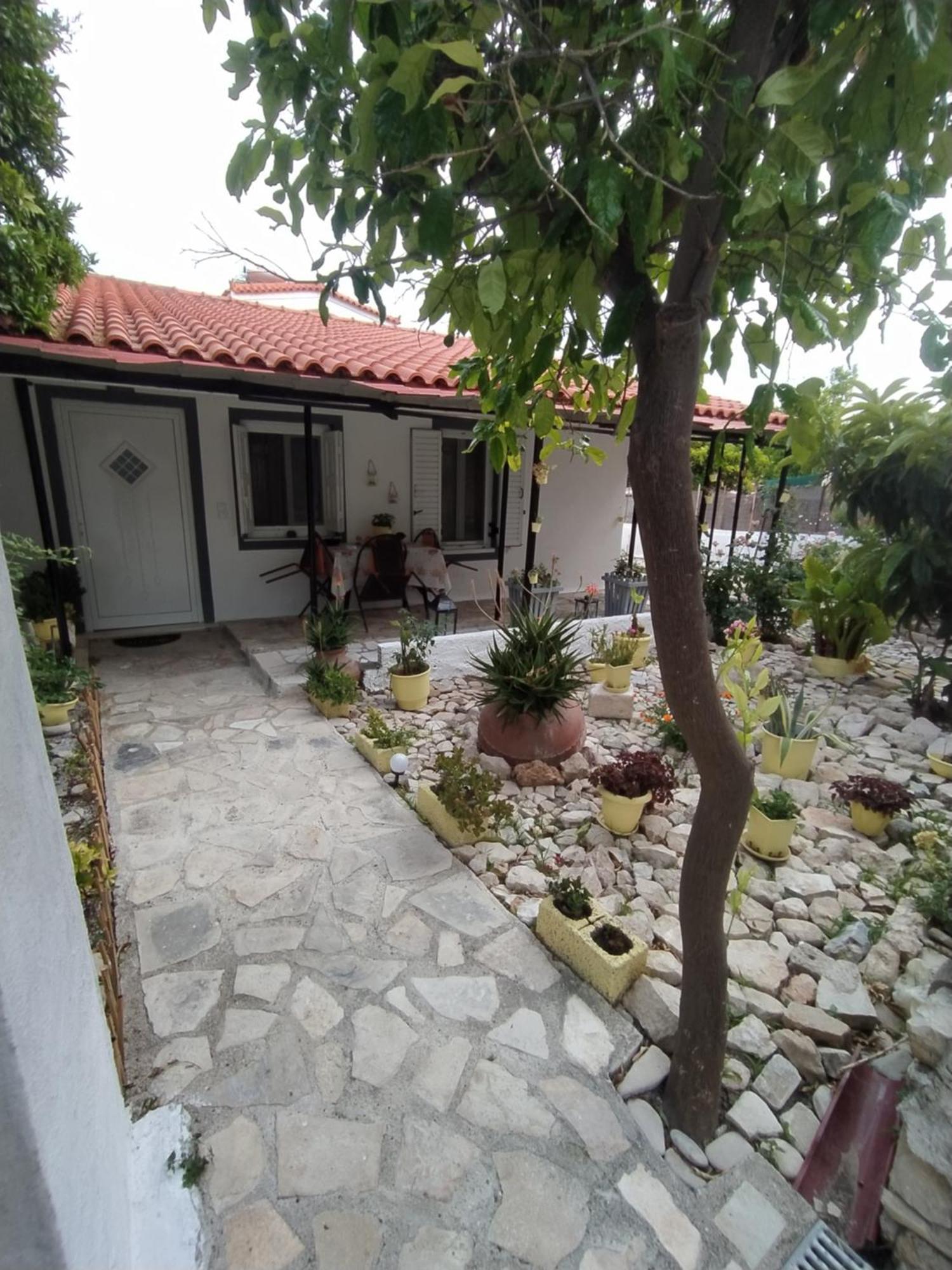 Klio's House Apartment Samos Town